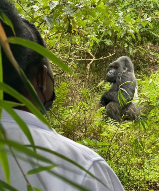 5 Days Gorilla and White Water Rafting (1)