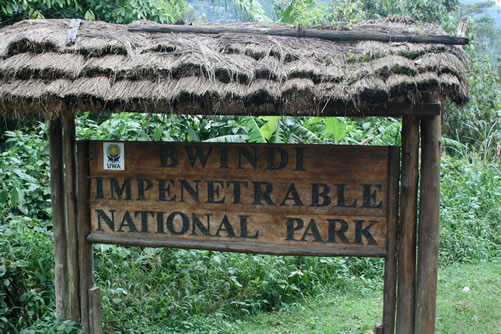 About Bwindi N.P