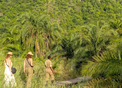 9 Day Budget primate safari in uganda