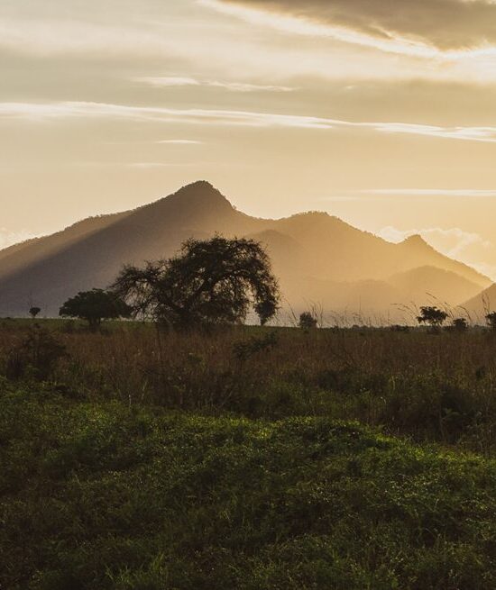 10 day tour Rwanda-Uganda